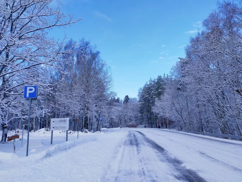 Aalto校園森林漫步